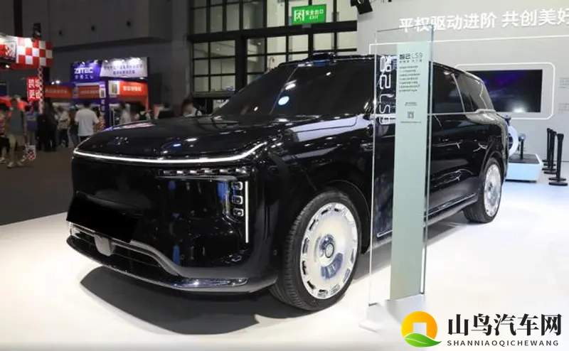 智己LS9旗舰SUV，多项配置超群，定价合理即热销-1