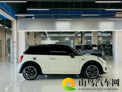 少妇亲子伦ininXXX：汽车市场新宠：家庭出行新趋势揭秘-1