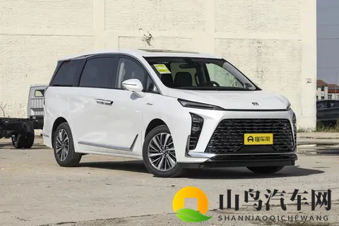 2025款别克GL8选买指南：直降43万后，电动门分界点在这-2