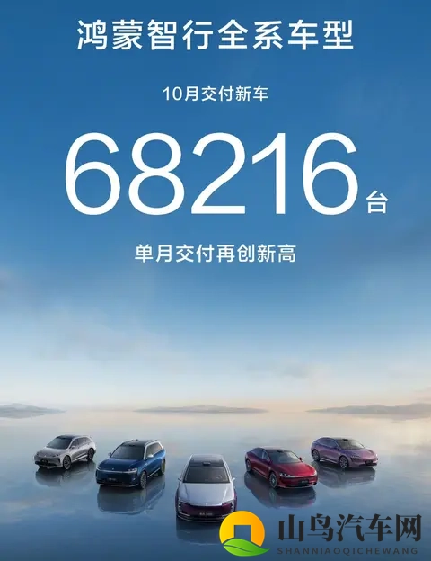 政策收紧前夜车市上演最后狂欢，谁在狂奔谁掉队？-3