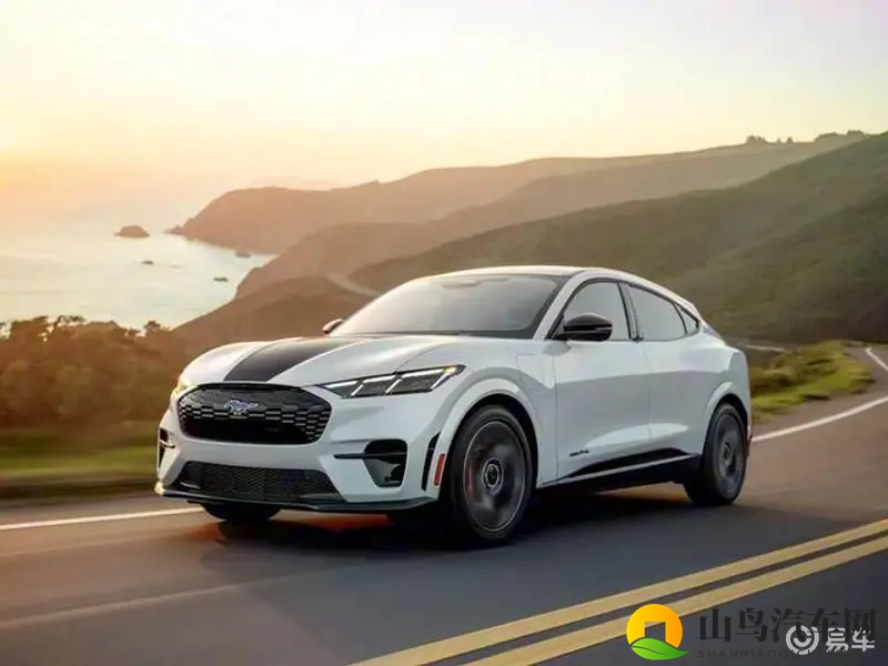 婷婷五色:五彩斑斓,绚丽多姿-2