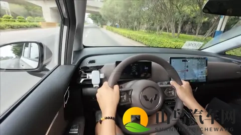 10万出头的插混MPV，靠谱吗？-1