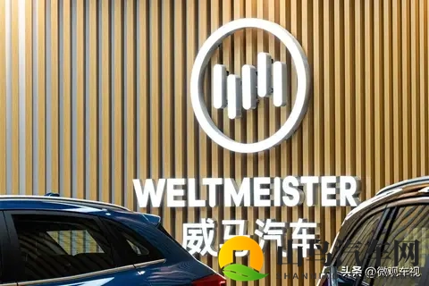 威马汽车“念念不忘，必有回响”，破产重整后谋划全面复活-3