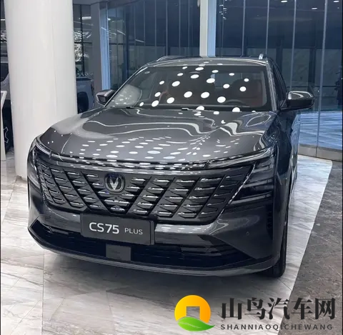 国人最爱买的10款SUV！第一名是？-2