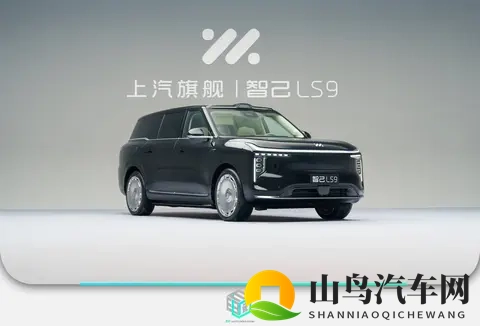 细节满满_堆料十足 智己LS9静态体验-3