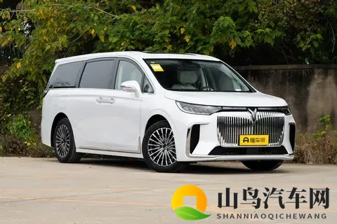 全能MPV该有啥?26款岚图梦想家PHEV带劲不?-2