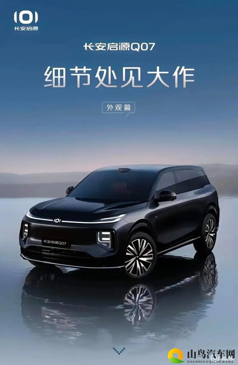 毛茸茸的亚洲人：亚洲面孔，细腻毛发，独特魅力-2