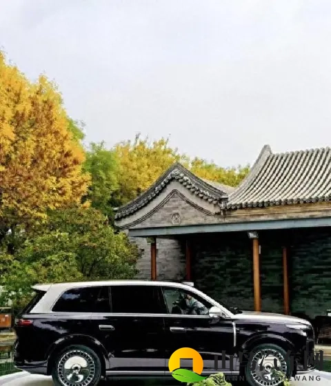 精品五月天:五月天精选盛宴,乐动心弦旋律-3