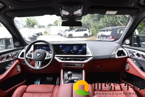 全新宝马X8登场：溜背设计引热议，智能与运动兼备瞄准中产新需求-3