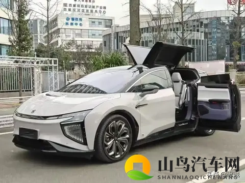 薅倒闭车企羊毛 这届年轻人赌上了-1