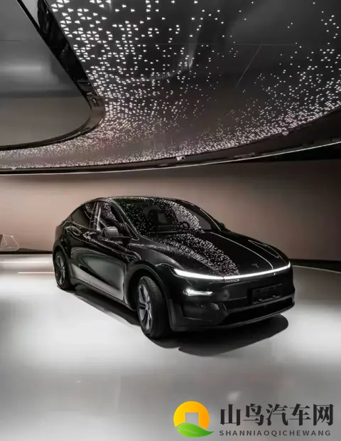 特斯拉Model Y长续航后驱版上市!2885万起,续航达821公里-3