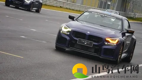 西施被焯出白水了怎么办：西施焯水变色处理技巧解析-1