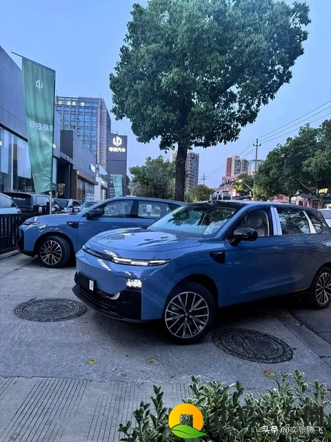 零跑销量逆势增长，为何却难在一线城市崭露头角？-2