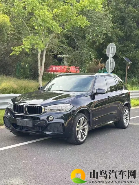 2018款宝马X5：30T+8AT，9万公里，豪华依旧，奶爸之选-2