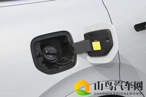 史诗级纠结？深蓝S09与魏牌蓝山，谁才是30万级大六座SUV优选？-1