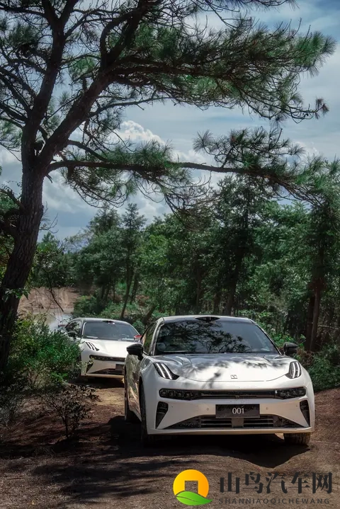 焕新极氪001，真懂年轻人要的感觉-1