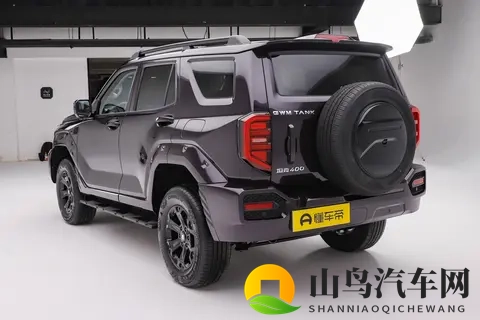 全新坦克400 四种动力如何选？  购车分析-2