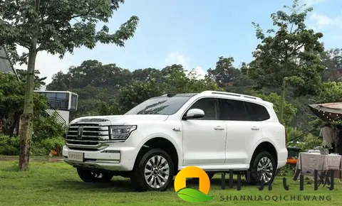 谁才是国内“越野一哥”?坦克、方程豹、猛士10月销量出炉-3