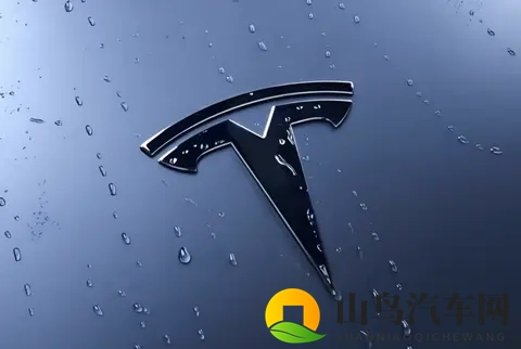 特斯拉成简配“鲶鱼”,中国品牌如何应对?-3