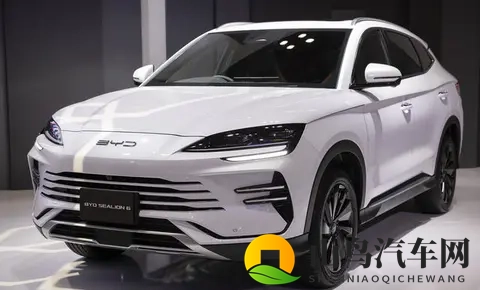 跟一位日本比亚迪车主聊了聊，才明白我们对「出海」有多天真-2