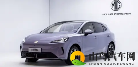 2025年前9个月爆款车型top10-2