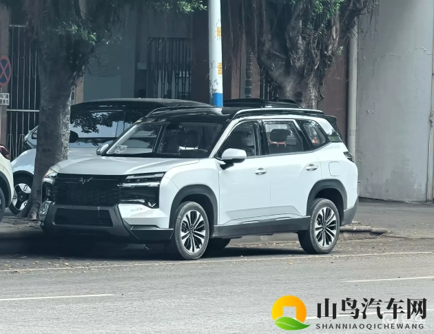 幫体育生擼雞巴爽到噴：助运动员享受极致快感，畅快淋漓至极-2