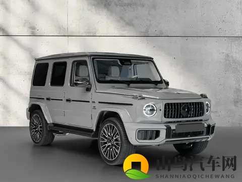 纯电在海外依然不保值！揽胜、大G仍是硬通货-2