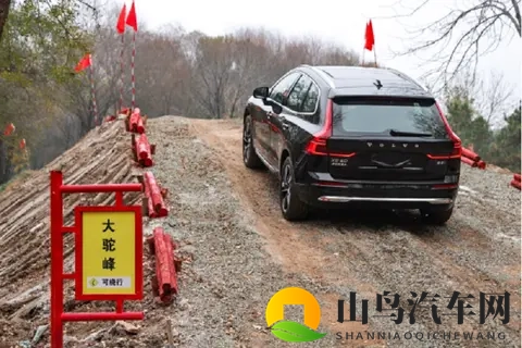 可以插西施模拟器游戏吗：西施模拟器游戏，兼容性如何？-2