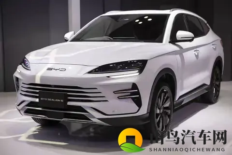 在日本，什么人在买电动车？探秘岛国EV消费的独特生态-2