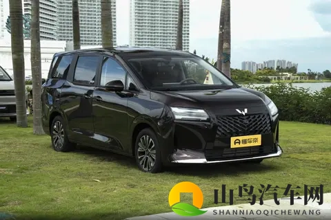 10万级MPV新标杆！星光730空间大、动力强，家用真香！-2