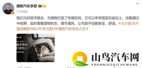 腾势玩起生态那股劲头，怕是连雷军都得竖大拇指？-2