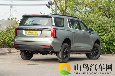 能拉货能越野，价格是坦克300的一半，配20T+8AT，分时四驱-2