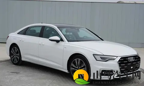 奥迪A6L设计“大变脸”引争议：是大胆革新还是用力过猛？-3