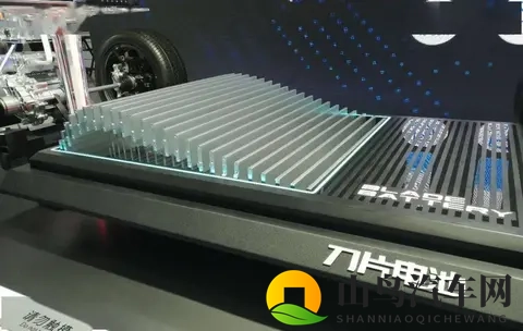 坚持磷酸铁锂的比亚迪，本质上是在维护行业声誉-2