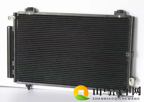 理想万辆电车召回：10元单价冷却液引发的质量风暴-2