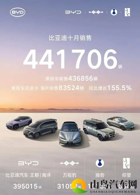 秦宋开道，比亚迪布局2026车市-3