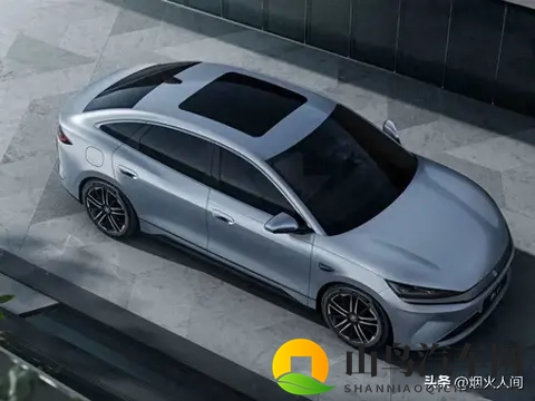 含羞草 成人网站：网络新现象：成人网站走红，揭秘互联网内容创新秘密-2