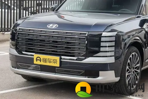 进口身份，国产价格！试驾新一代帕里斯帝，全家出行再合适不过-2