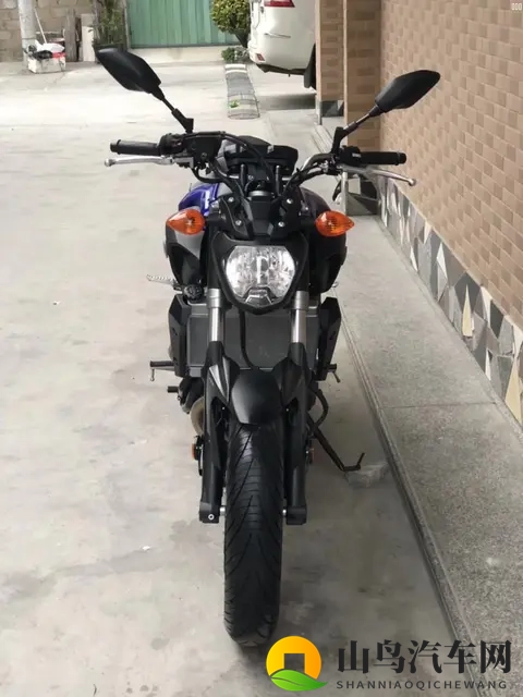 10大摩托车品牌终极解析：哈雷_本田_宝马谁是你的菜？-2