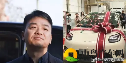 京东499万卖车!电池按月租,你敢买吗?-2