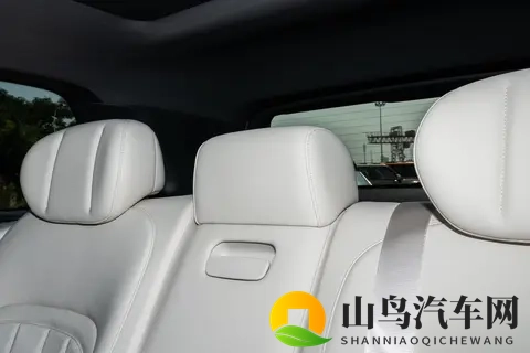 1599万起售,这款中大型车空间大,适合品质家庭-3