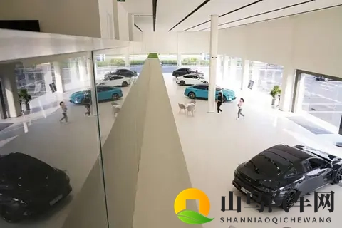 毛利率之争白热化:谁将赢得未来市场的入场券?-2