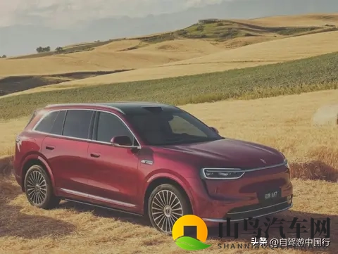 问界汽车怎么了?-1