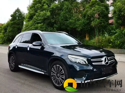 欧美黑人巨大:欧洲豪华SUV惊艳发布,七大亮点揭秘-3