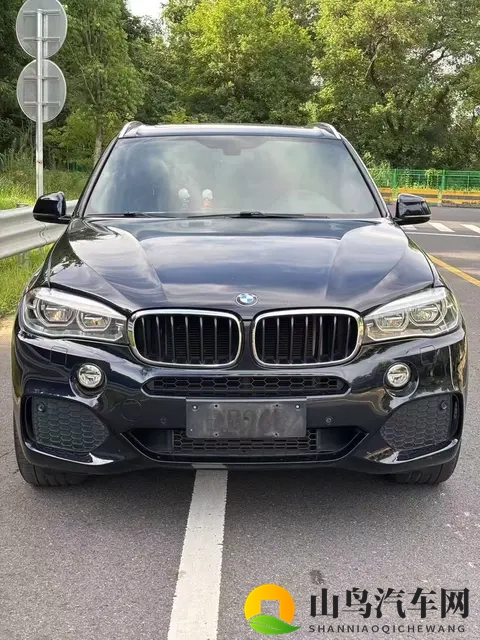 2018款宝马X5：30T+8AT，9万公里，豪华依旧，奶爸之选-1
