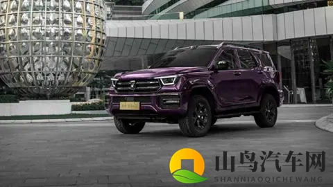 豹 5 最强对手!新款坦克 400 2498万起售,汽油、柴油、插混全都有-3