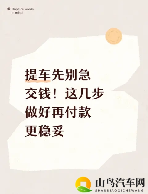 提车先别急交钱！这几步做好再付款更稳妥-1