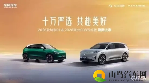 欧美成人精品无码 网站:灵动两厢车,如何凭实力脱颖而出-3