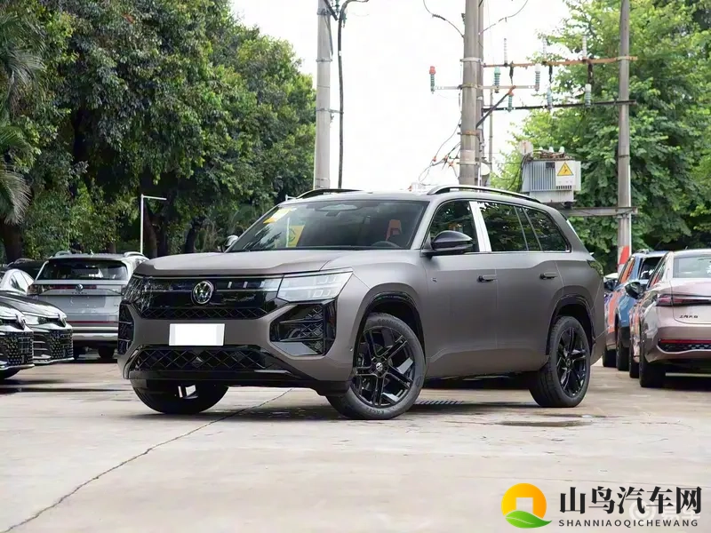 2026途昂Pro上市，25.99万起，五代EA888引擎，哑光漆-1