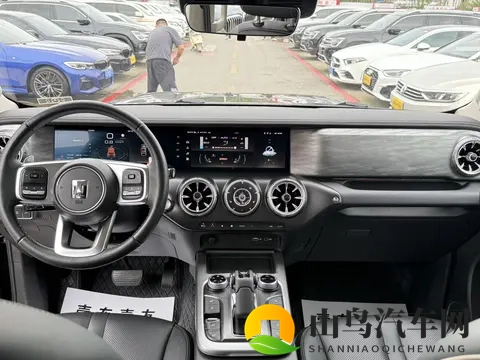 14万拿下硬派越野新选择，准新坦克300挑战者！-3